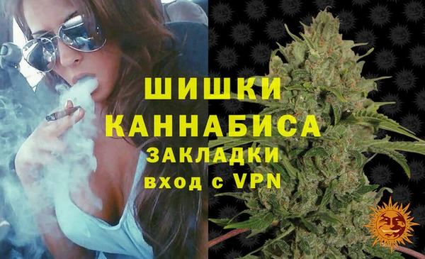 сатива Алзамай